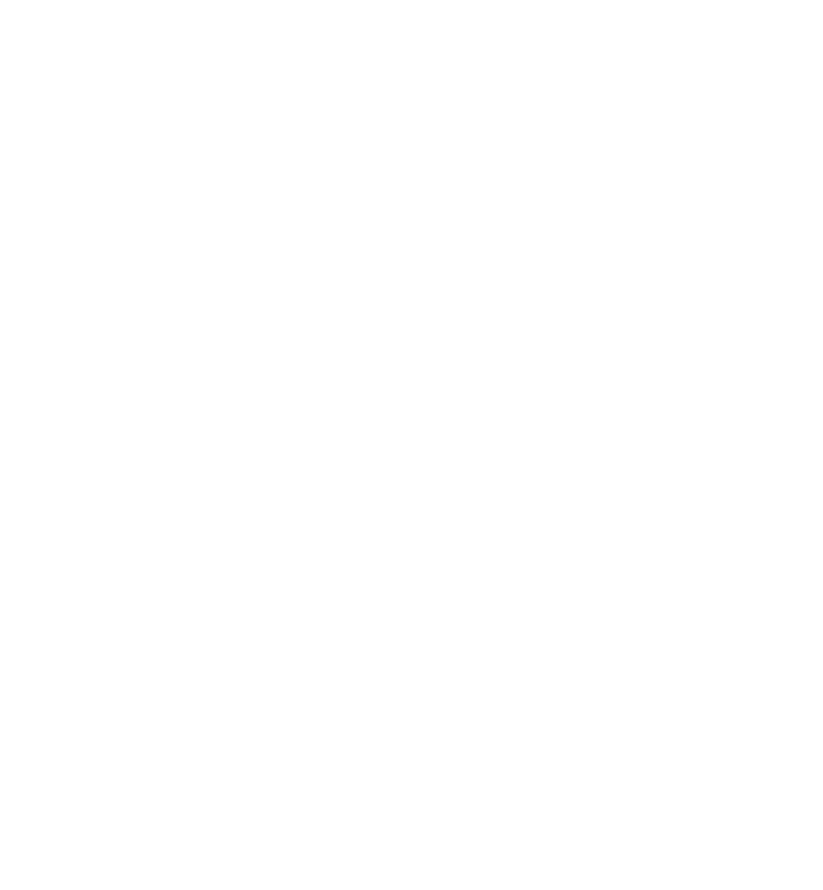 n-logo-white